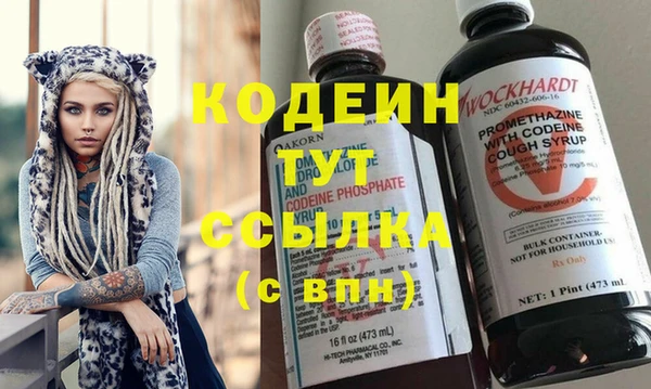 ПСИЛОЦИБИНОВЫЕ ГРИБЫ Арсеньев