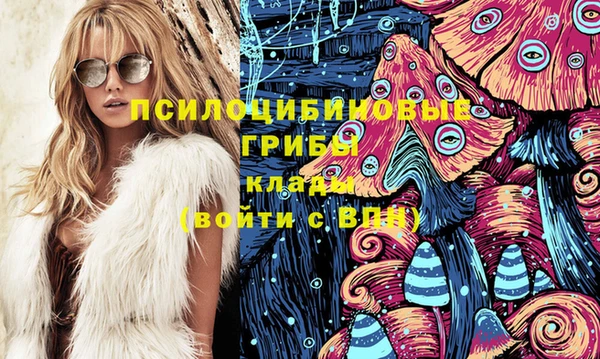 гидра Аркадак