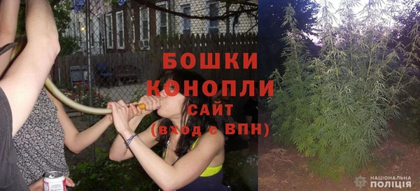 стаф Пестово