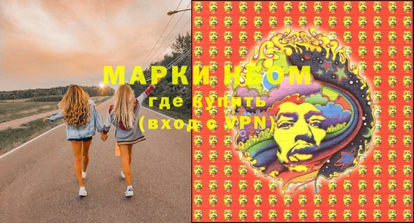 ПСИЛОЦИБИНОВЫЕ ГРИБЫ Арсеньев