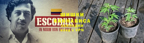 гидра Аркадак